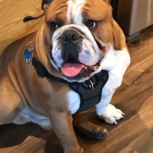 Meet your Posher, Kim